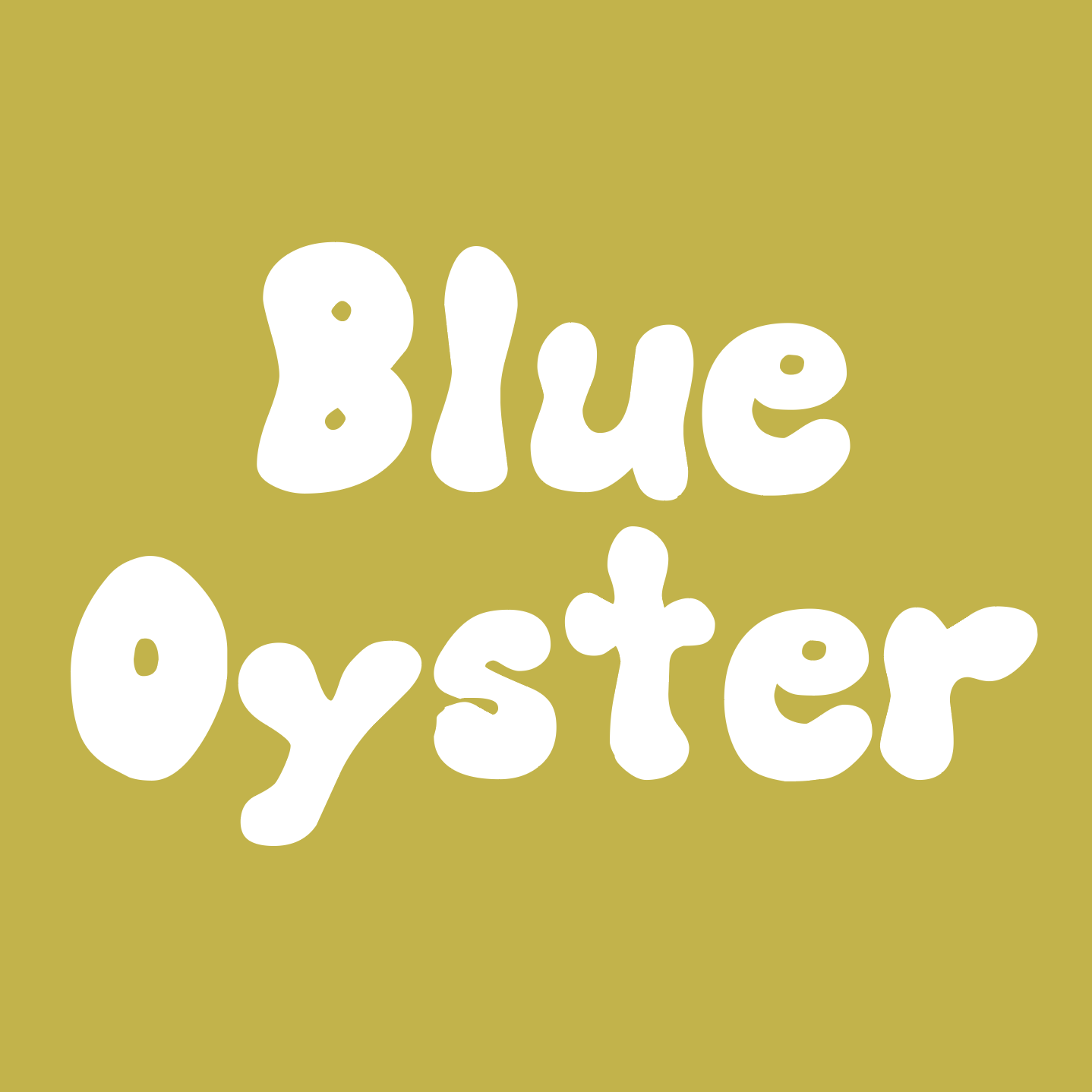 blue-oyster-ready-to-fruit-3lb-block-mushroomman-mycology